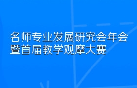 名师专业发展研究会年会暨首届教学观摩大赛